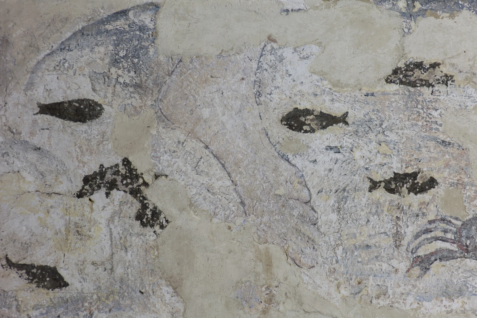 Partially surviving wall painting of St. Christopher's foot in a river surrounded by little black fish and a crab.