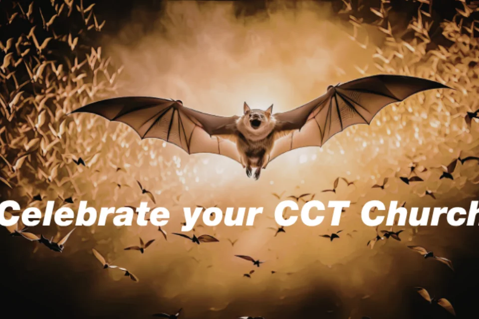 Image showing bats