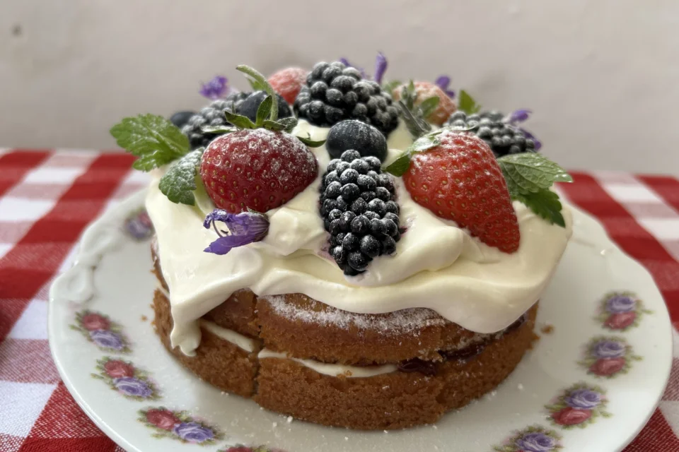 On top of a red and white gingham tablecloth sits a sponge cake, decorated with cream and berries.