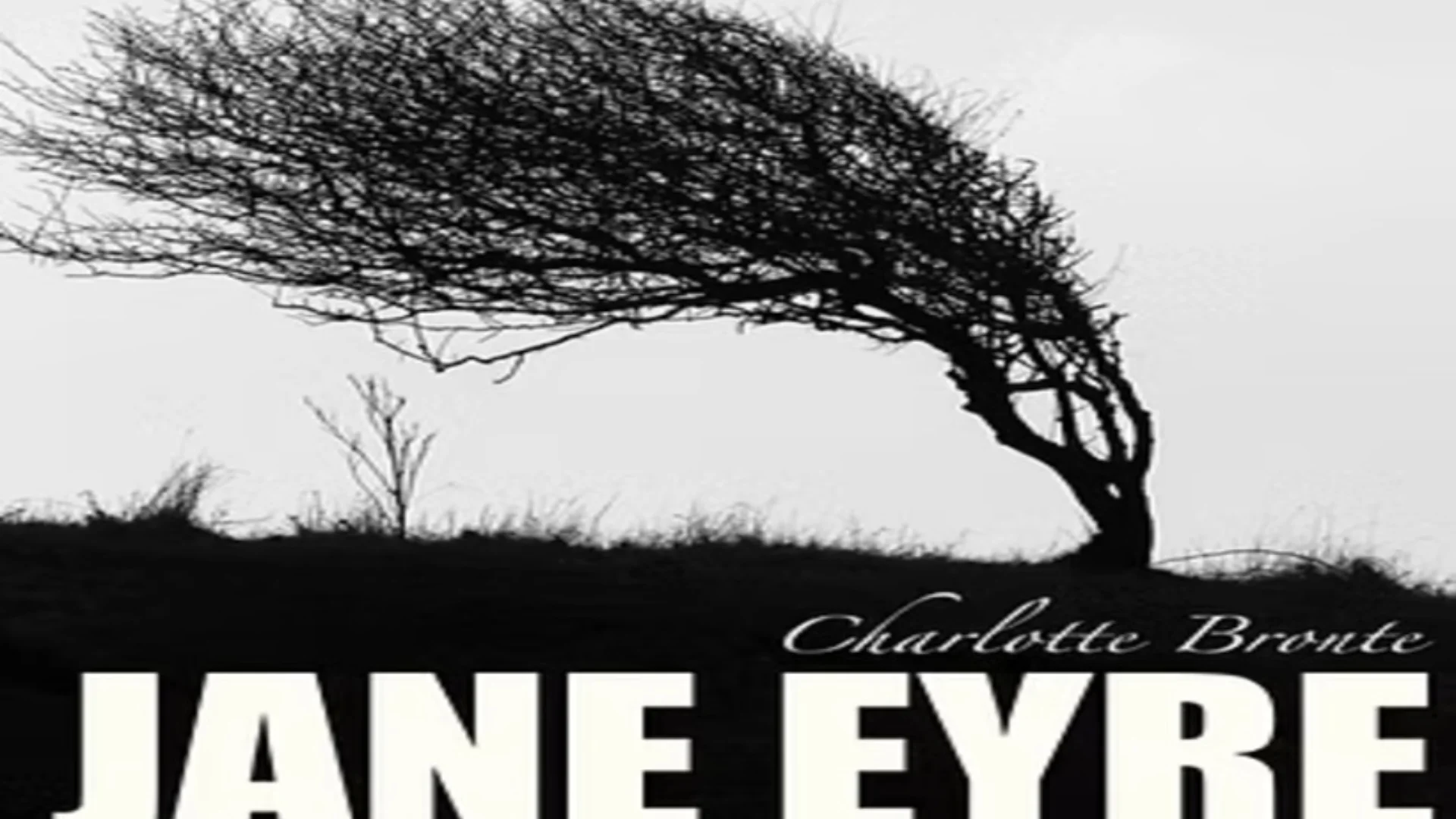 black tree illustration shaped by strong wind